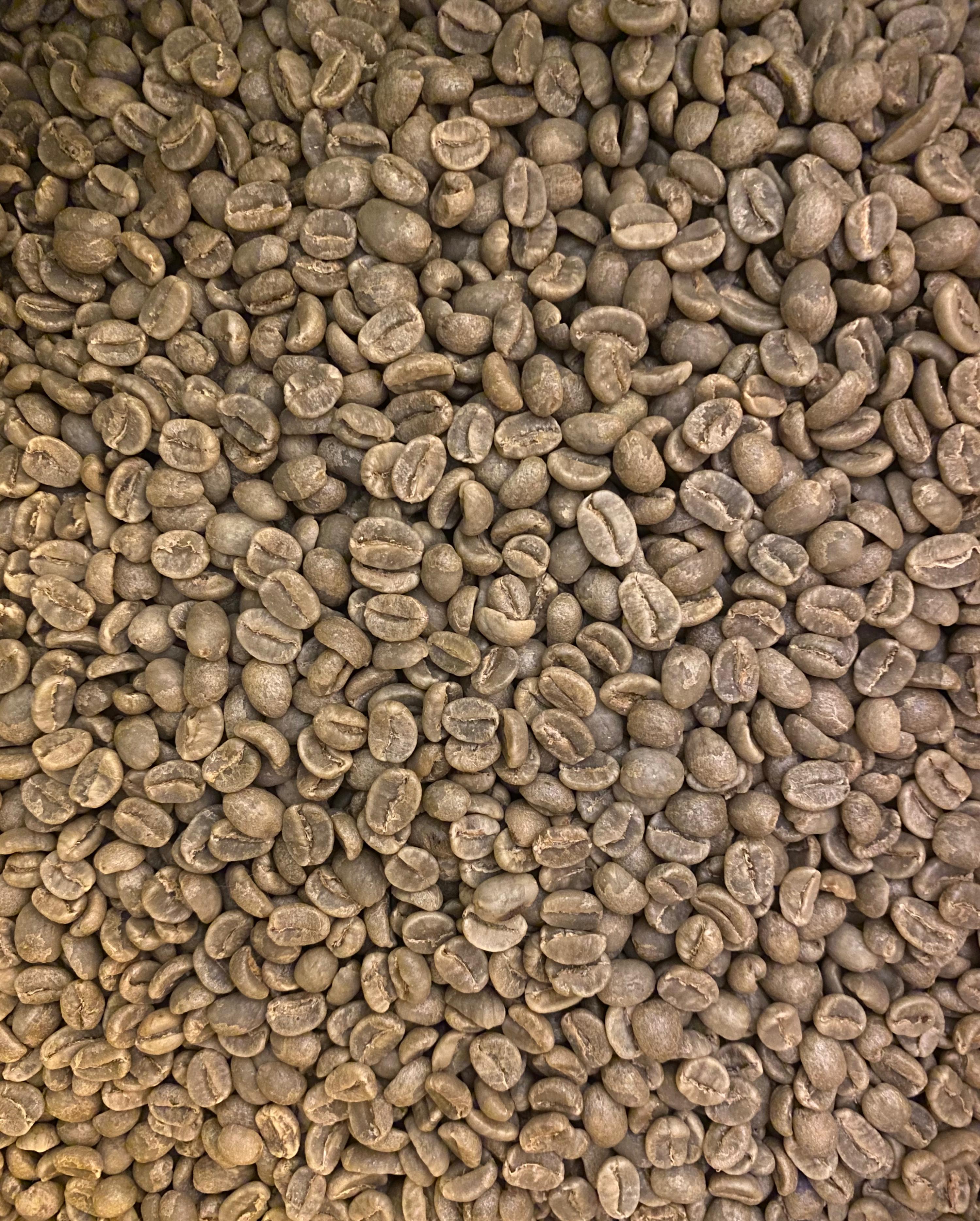 Premium Green Coffee Beans | Marunic Coffee Products | South Africa